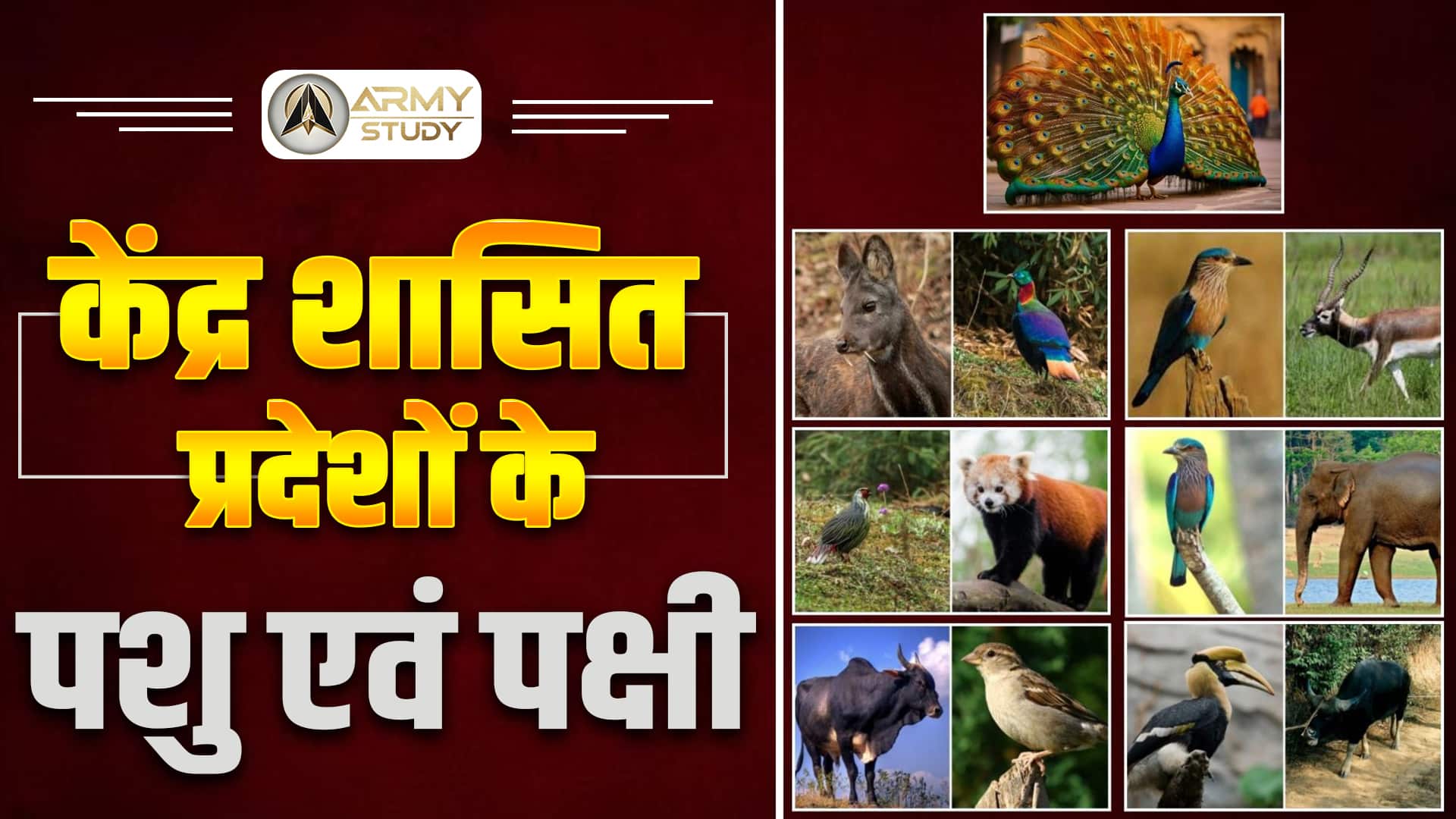 major animals and birds of the union territories of india.jpg