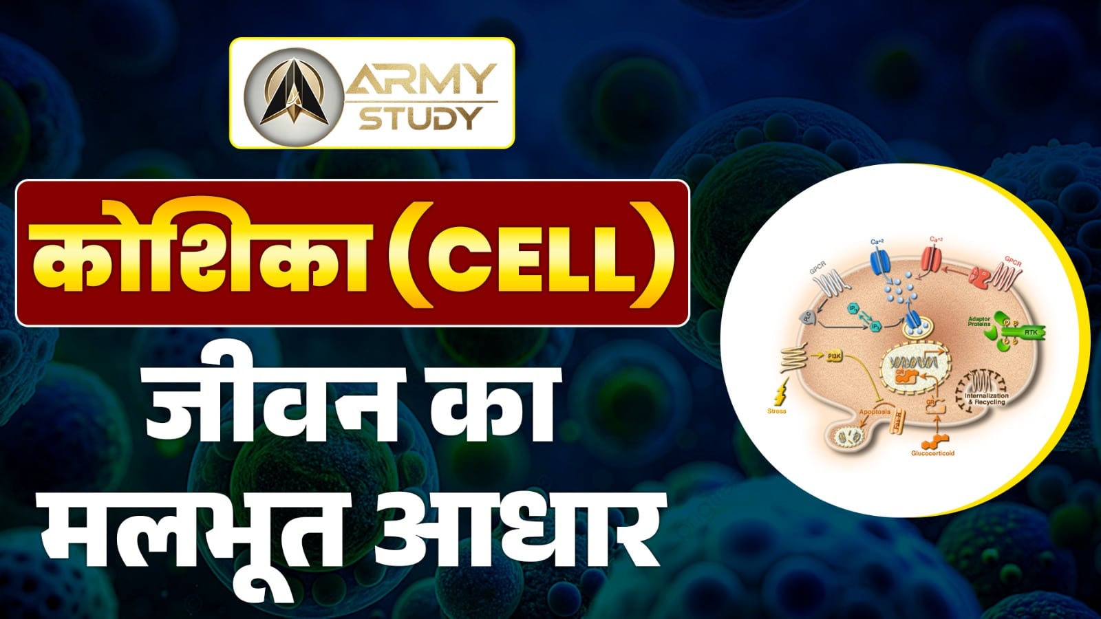 Cell: the basic building block of life