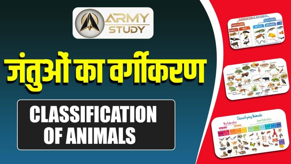 Classification Of Animals