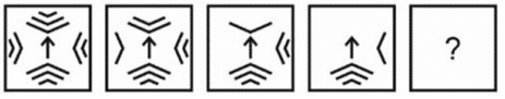 Image 65
