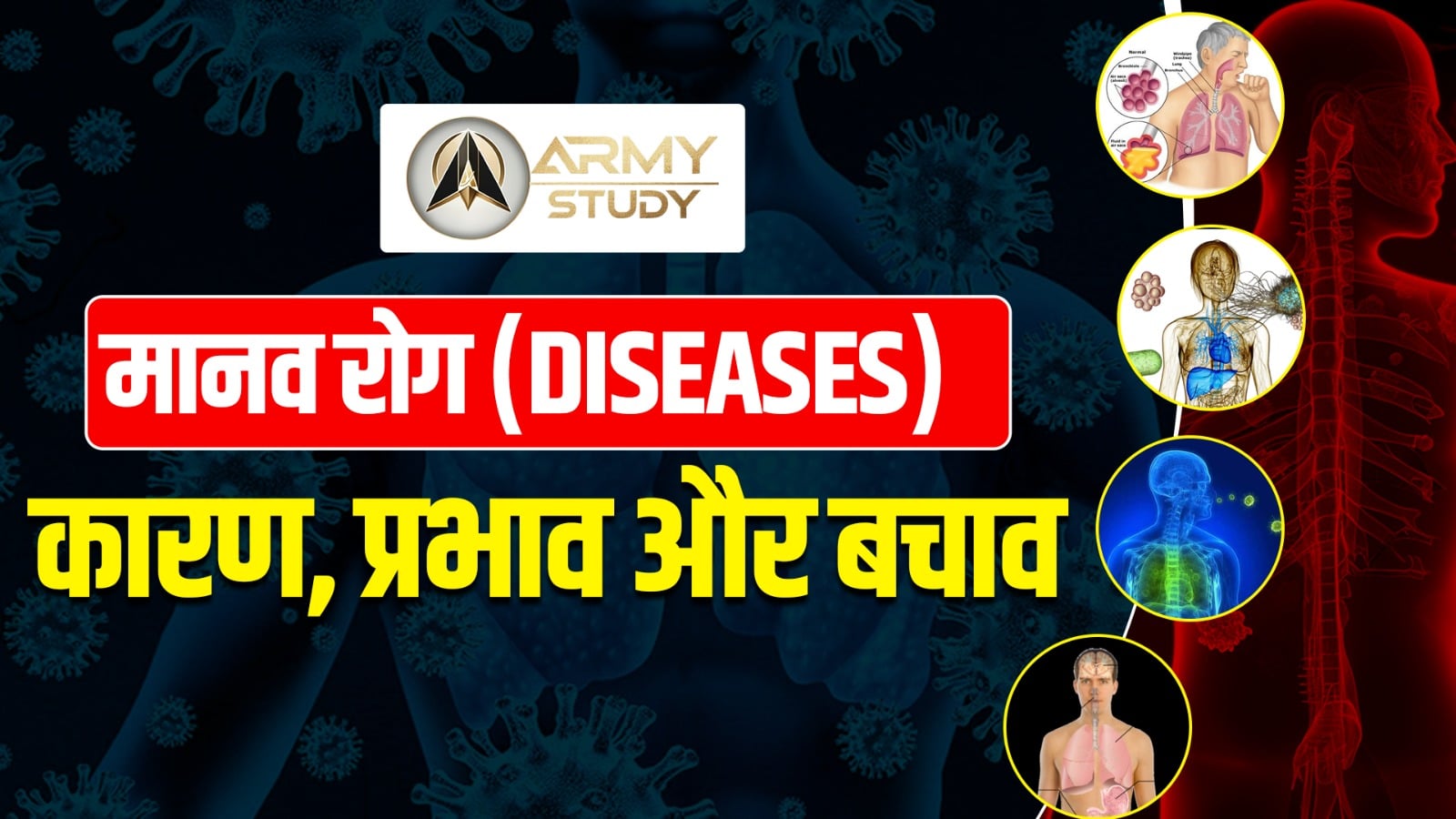Human Diseases: Causes, Effects And Prevention