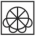 Option Image