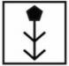 Option Image